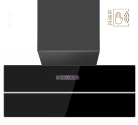 <span style='color:#009900'>GRA-X6 超薄油烟机</span>
